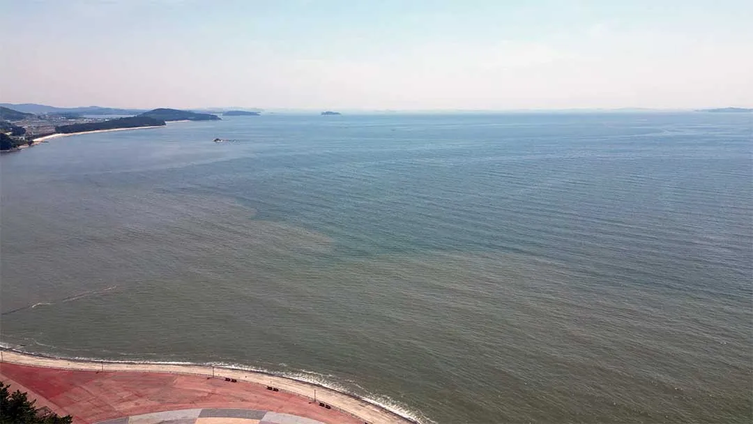 sea02 선도리갯벌글램핑장 바다